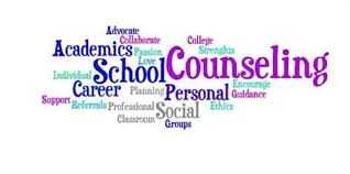 Definition of a School Counselor